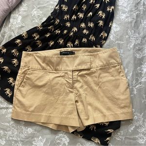 Arden B dress shorts size 6